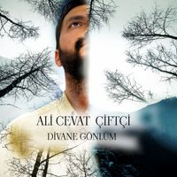 Ali Cevat Çiftçi - Divane Gönlüm