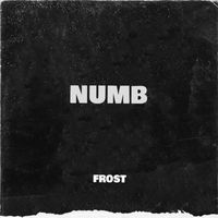 Frost - Numb
