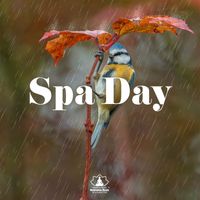 Mindfulness Meditation Music Spa Maestro - Spa Day: Relax Mind, Body & Soul with Nature Sounds (Rain & Birds)