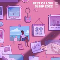 Various   Artists - Best of Lofi Sleep 2022