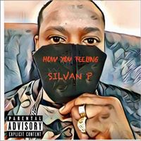 Silvan P - How You Feeling (Explicit)