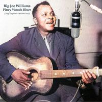 Big Joe Williams - Piney Woods Blues (High Definition Remaster 2022)