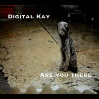 Digital Kay - Are You There