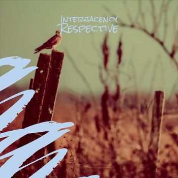 Various Artists - Interjacency Respective