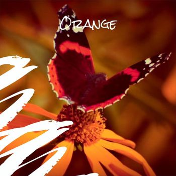Various Artists - Orange