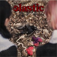 ELASTIC - The Disillusioning (Deluxe Version) (Explicit)