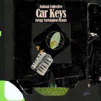 Animal Collective - Car Keys (Gregg Turkington Remix)