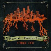 David Berkeley - Strange Light
