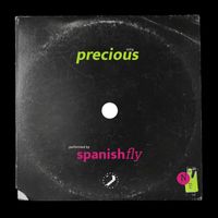 Spanish Fly - Precious (Extended Dance Mix)