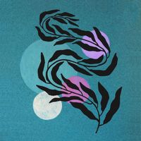 Nomadic - Tora