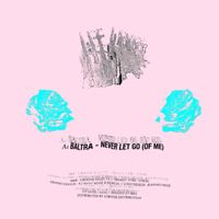 Baltra - Never Let Go (Of Me) (Sped Up + Slowed Remixes)
