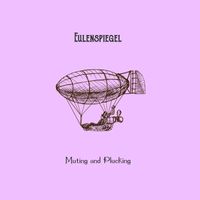 Eulenspiegel - Muting and Plucking