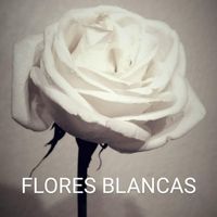 Alberto Carrillo - Flores Blancas