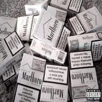Shark - Smoke A Sacc (Explicit)