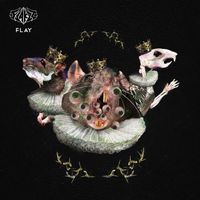 Flakzz - Flay