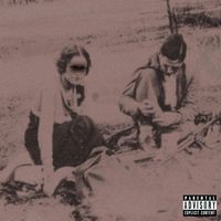 Shark - Bonnie & Clyde (Explicit)