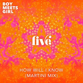 Boy Meets Girl - How Will I Know (Martini Mix)