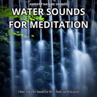 Sleeping Relaxing Soundification - Ambient Nature Sounds: Water Sounds for Meditation (1 Hour Ambience Sounds for Sleep, Study and Relaxation)