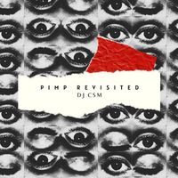 DJ CSM - Pimp Revisited (Explicit)