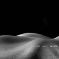 Laurie Levine - Dunes