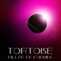 Tortoise - Pillar Of Forming