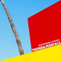 Thundamentals - Suffering Fools (Explicit)