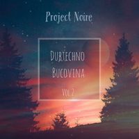 Project Noire - DubTechno Bucovina, Vol. 2