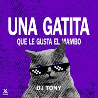 DJ Tony - Una Gatita Que Le Gusta El Mambo (Explicit)