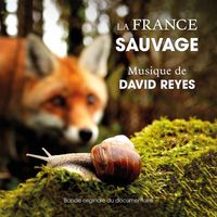 David Reyes - La France Sauvage (Bande originale du documentaire)
