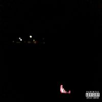 Shark - PaccMann (Explicit)