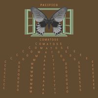 Pacifico - Comatose