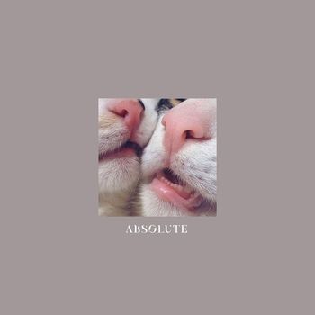 Sergio Gusto - Absolute