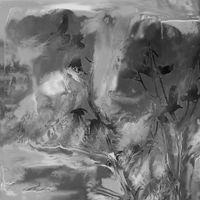 ZSÜJA - Live at Transcendent Waves