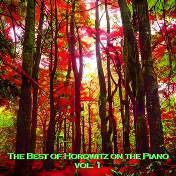 Vladimir Horowitz - The Best of Horowitz on the Piano, vol. 1