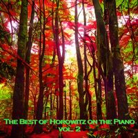 Vladimir Horowitz - The Best of Horowitz on the Piano, vol. 2
