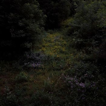 Fireworks - Higher Lonely Power (Explicit)