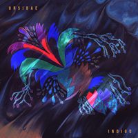 ursidae - Indigo