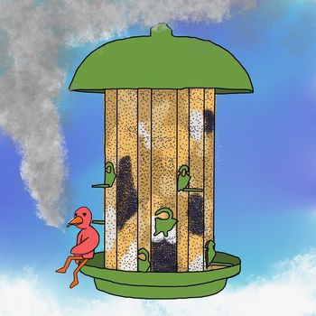 Finch - bird feeder (Explicit)