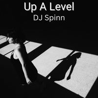 DJ Spinn - Up A Level