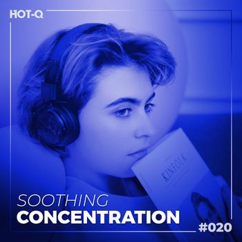 Various Artists - Soothing Concentration 020