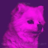 Thalerg Collaborative Project - Pet Scan