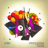 M Giggy - Synthetic Basshead (The Electronic House Collection Deluxe Version)