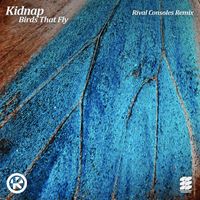Kidnap - Birds That Fly (Rival Consoles Remix)