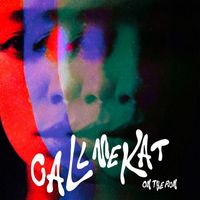 CALLmeKAT - On the Run