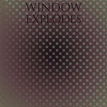 Various Artists - Window Explodes
