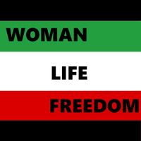 Persian Electro Orchestra - Baraye (Woman Life Freedom)