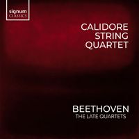Calidore String Quartet - String Quartet No. 16 in F Major, Op. 135: III. Lento assai, cantante e tranquillo