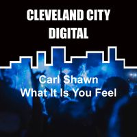 Carl Shawn - What It Is You Feel