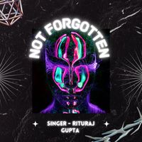 Rituraj Gupta - Not Forgotten