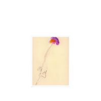 Loren Connors - Unaccompanied Acoustic Guitar Improvisations Vol. 10